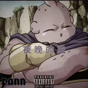 夜晚的風