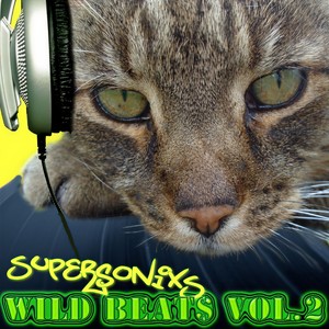 Wild Beat$, Vol. 2