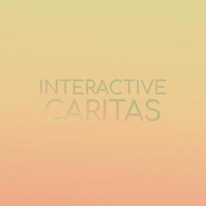 Interactive Caritas