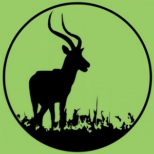 Phobic (Original Mix)