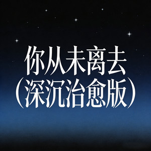 你从未离去 (深沉治愈版)封面