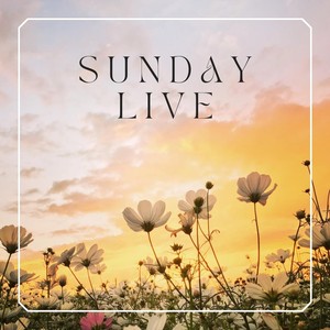 Sunday Live (Live)