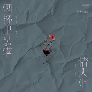 酒杯里装满情人泪 (DJ小桐版)