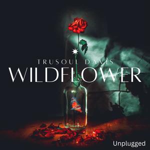 WildFlower (Unplugged)