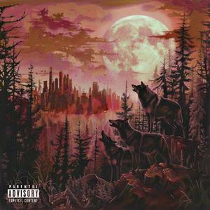 Ruthless (feat. Chooch) (Explicit)