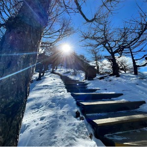 其实雨不大是风搞得紧张