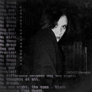 Собирательный образ (.svdist Remix)