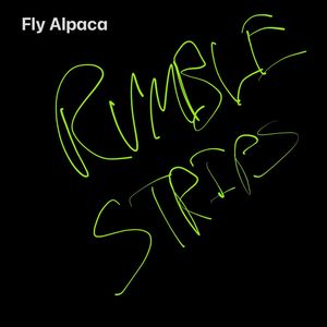 RUMBLE STRIPS