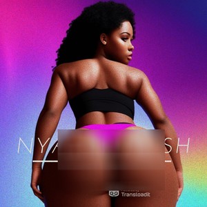 Nyash Nyash (Explicit)