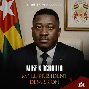 Mr. Le Président (Démission)
