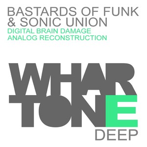Digital Brain Damage (Original Mix)