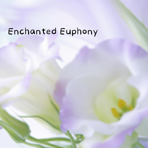 Enchanted Euphony