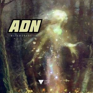 Intelligent Beings (Explicit)