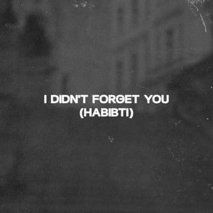 I didn't forget you (habibti) (Radio)