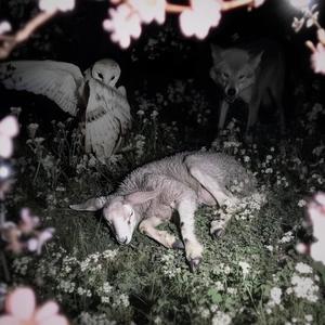 slowly dying under the moonlight (Explicit)