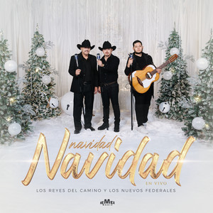 Navidad, Navidad (En Vivo)