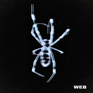 Web