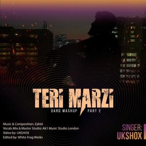 Teri Marzi (Dard Mashup 2)