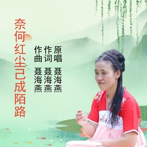奈何红尘己成陌路 (伴奏)