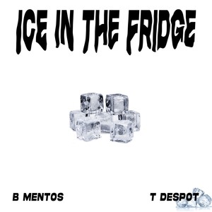 ICE IN THE FRIDGE