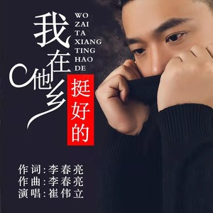 我在他乡挺好的 (DJ狂嗨版)