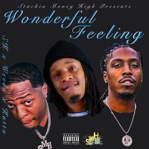 Wonderful Feeling(feat. Weeda-G & Kutta Da General) (Explicit)
