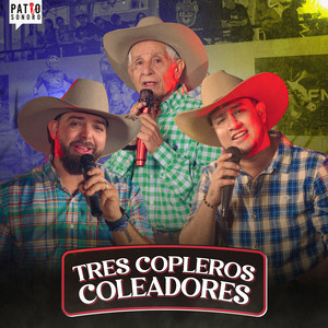 Tres Copleros Coleadores 2/2 (En Vivo en Producciones 3B Guanare, Portuguesa. 2024)