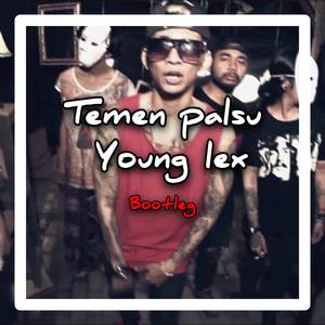 DJ TEMEN PALSU BOOTLEG