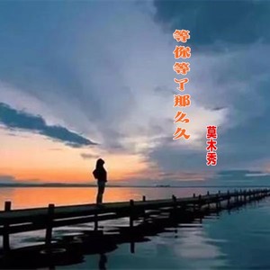 等你等了那么久 (Demo)