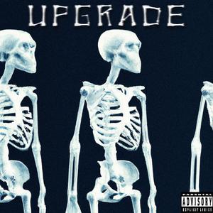 UPGRADE (Explicit)