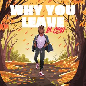 Why You Leave (Explicit)