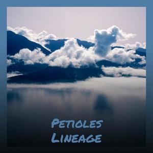 Petioles Lineage