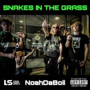 SNAKES IN THE GRASS (Explicit)