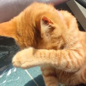 生活总在取舍中选择