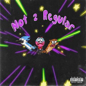 Not 2 Regular (Explicit)