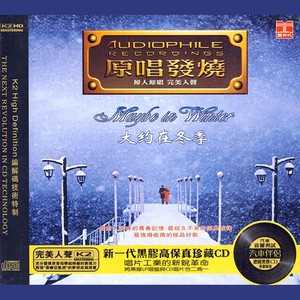 笨小孩 - 刘德华封面