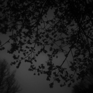 Last Fall (Explicit)