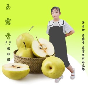 玉露香-虚拟歌手
