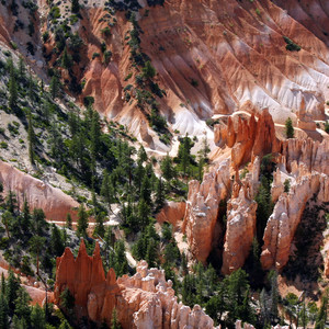 美人画卷 (戏腔版)