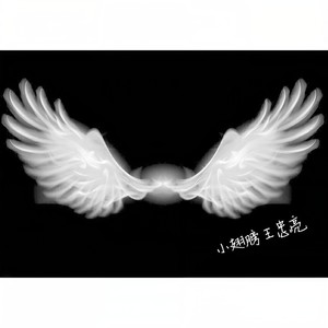 小翅膀