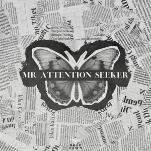 MR. ATTENTION SEEKER