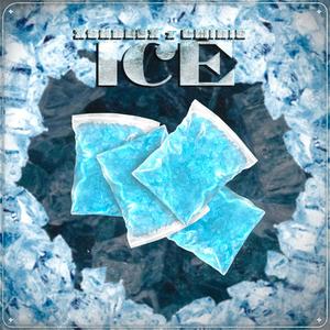 ICE (feat. Gminis) [Explicit]