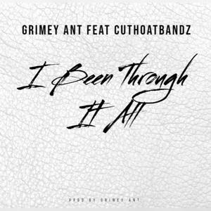I Been Through It All (feat. Cuthoatbandz) (Explicit)