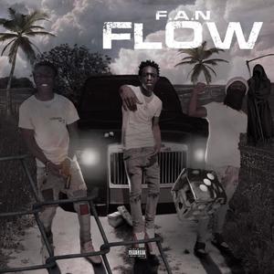 F.A.N Flow (Explicit)