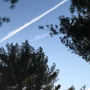 High Tides (Explicit)