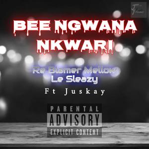 Re Blamer Mellow Le Sleazy (feat. Juskay)