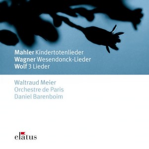 Mahler, Wagner & Wolf: Orchestral Songs