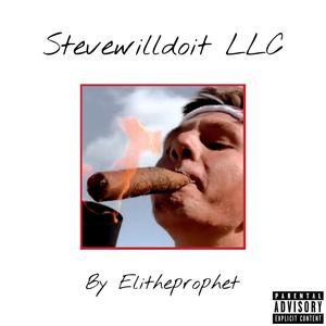 Stevewilldoit LLC (Explicit)