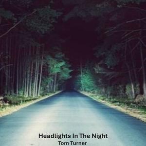 Headlights In The Night