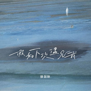 徐剑秋 - 假如下次遇见我